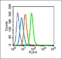 phospho-c-Jun(Thr91+Thr93) antibody