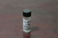 甲胎蛋白（AFP）