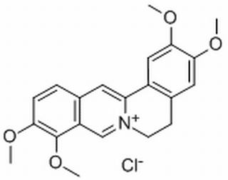 盐酸巴马汀HPLC≥98%