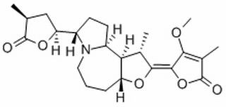原百部碱HPLC≥98%
