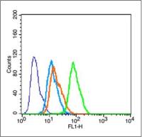 phospho-Tau (Ser235) antibody