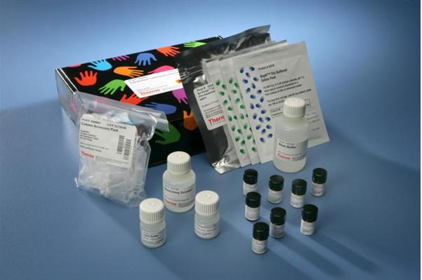 仓鼠低密度脂蛋白(LDL)ELISA试剂盒