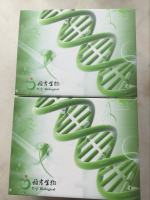 Caspase 3分光光度法检测试剂盒