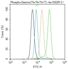 phospho-Desmin (Thr76 + Thr77) antibody