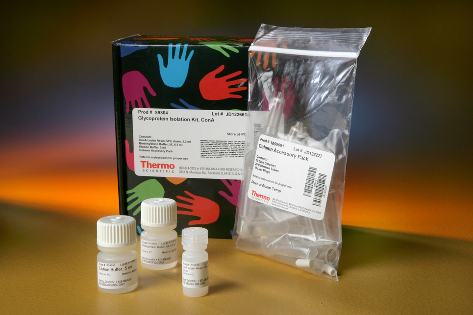 人白细胞介素4(IL-4)ELISA试剂盒