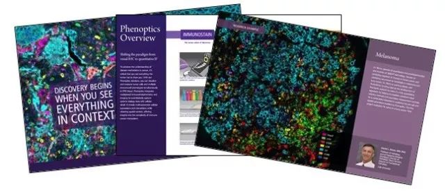 观察并定量肿瘤微环境中的细胞相互作用