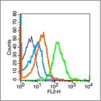 phospho-TERT(Ser1125) antibody