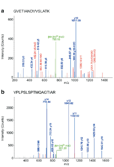 科研集市-8丨利用CoIP-MS高效筛选体内互作蛋白