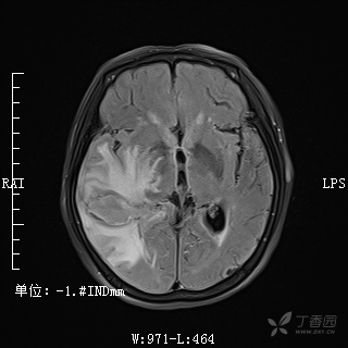 3287101738415012676-8w.jpg