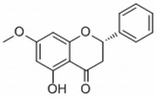 球松素 CAS:480-37-5