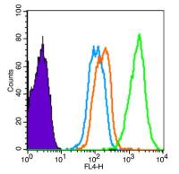 phospho-Alpha synuclein(Ser129) antibody