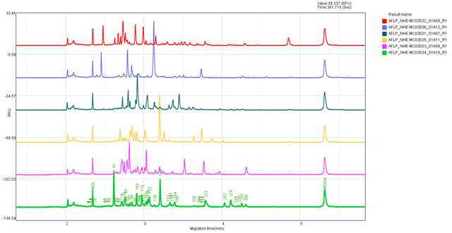 毛细管电泳在 DNA 指纹图谱分析中的应用