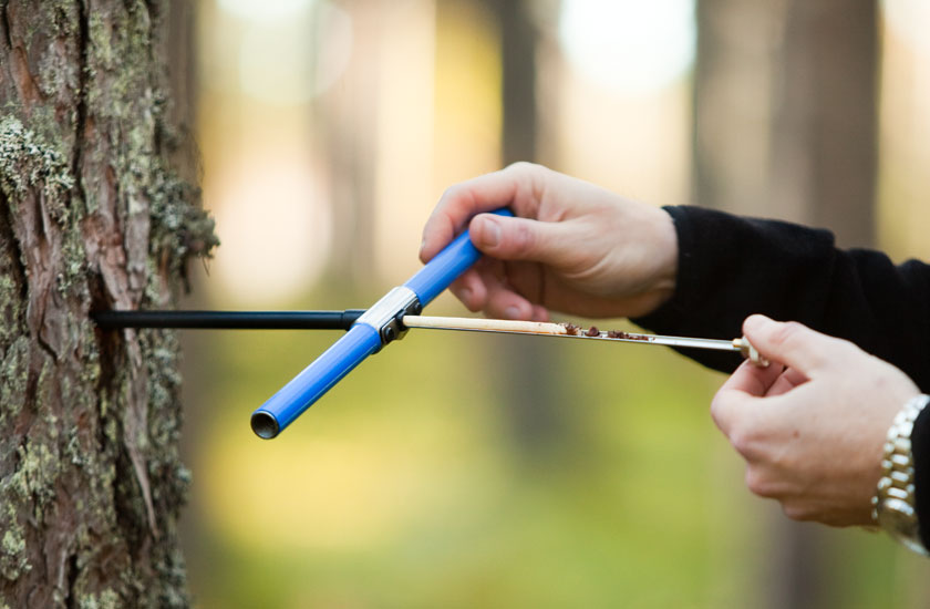 haglof树木生长锥