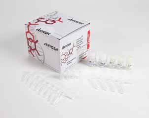 AxyPrep总RNA小量制备试剂盒