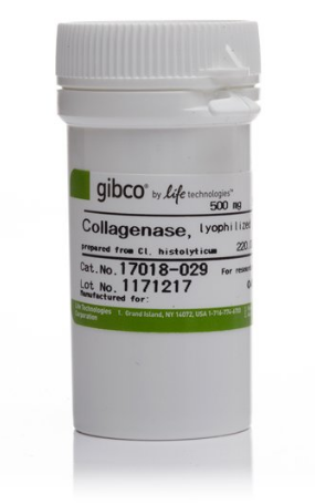 膠原酶 I  Collagenase, Type I, powder 17100017