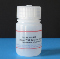 Minute™ 抗体增强剂