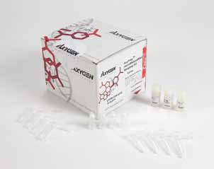 AxyPrep miRNA小量制备试剂盒
