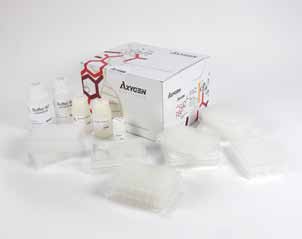 AxyPrep-96 PCR清洁试剂盒
