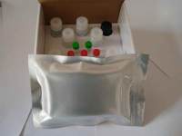 LDH  ELISA检测试剂盒，牛ELISA检测试剂盒