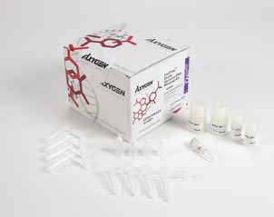 AxyPrep血基因组DNA小量试剂盒
