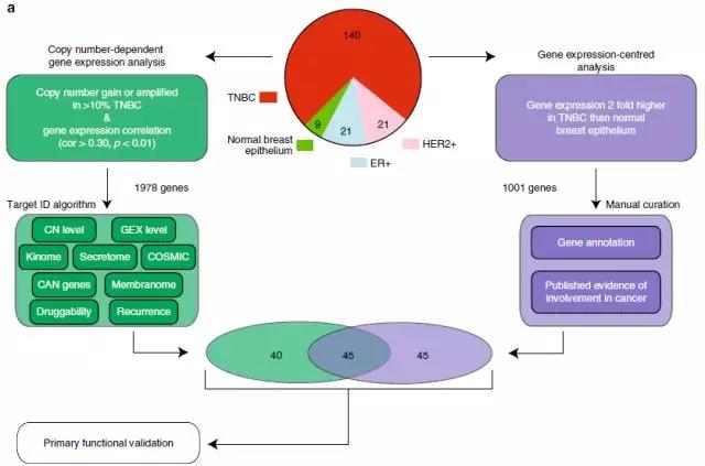 单细胞 ICP-MS 联合 HCS 为您揭秘顺铂化疗耐药机制