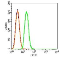 CARD15/NOD2 antibody