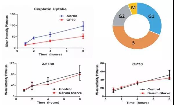 单细胞 ICP-MS 联合 HCS 为您揭秘顺铂化疗耐药机制