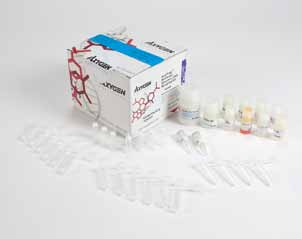 AxyPrep细菌基因组DNA小量试剂盒