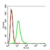PHF8 antibody