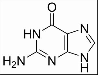 鸟嘌呤,鸟粪素,鸟便嘌呤 cas:73-40-5