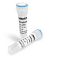 Lenvatinib (E7080)417716-92-8