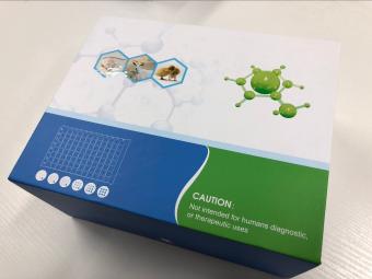 大鼠甲状腺球蛋白(TG)ELISA试剂盒