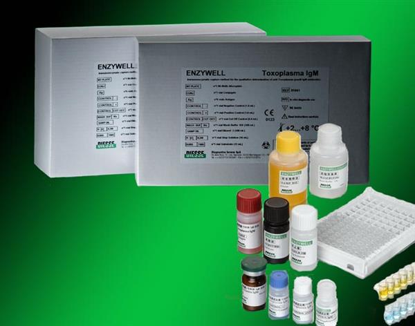 猪甲型流感病毒(IAV)ELISA试剂盒