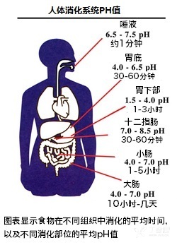 5考虑的可能是胃酸缺乏者或者进食状态下的ph,ph6.