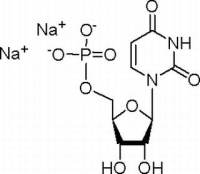 5-尿苷一磷酸二钠盐HPLC≥98%