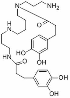 地骨皮乙素,苦可胺B,CAS:164991-67-7