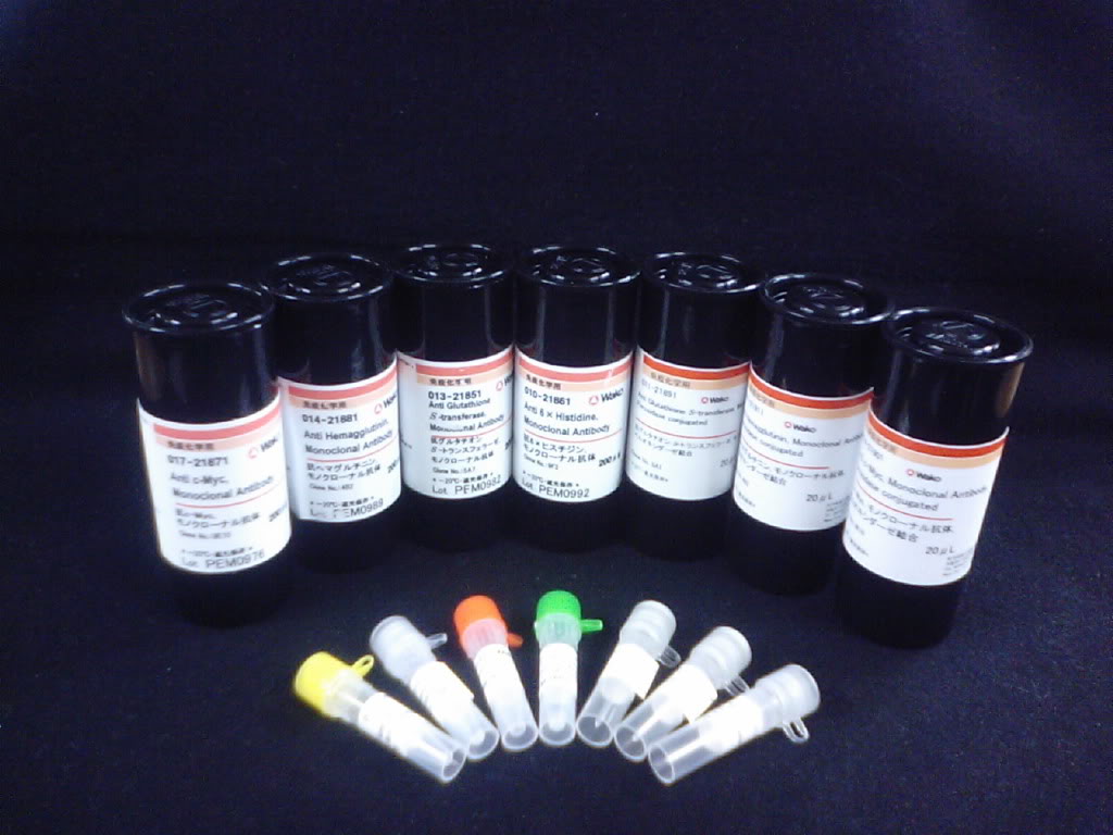 AK2 polyclonal antibody特性