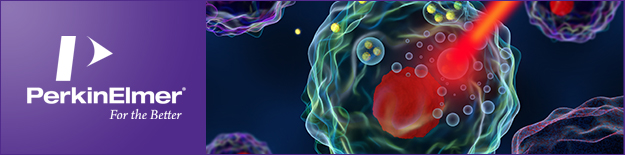 从分子机制-细胞分析-活体成像-定量病理提供纳米医药研究方案