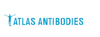 Atlas Antibodies