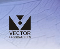 vectorlabs特约代理