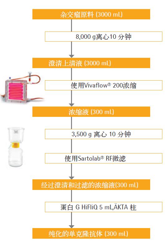 Vivaflow® 200：用于杂交瘤上清液浓缩的关键性样本制备工具