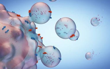 外泌体研究方案的正确打开方式！