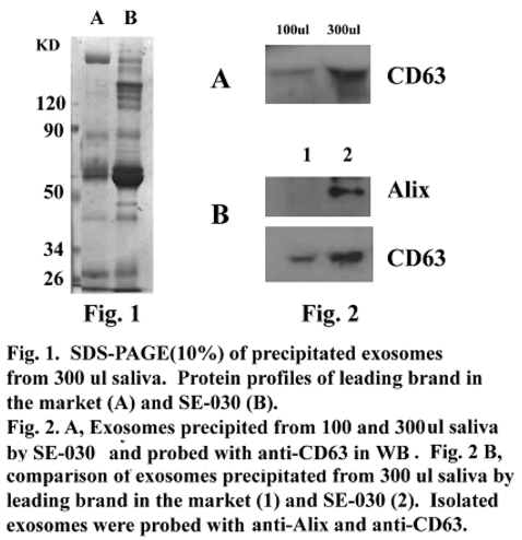 Minute™ 高效唾液外泌体分离试剂盒