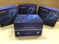 猴B病毒(BV)ELISA试剂盒