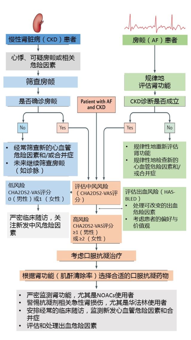 慢性肾衰竭发病机制图片