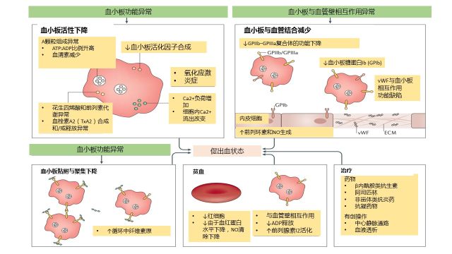 慢性肾脏病5期活多久 Nature 综述：房颤合并慢性肾脏病患者，怎样用抗凝药？