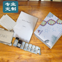 诚信惠供TTV试剂盒，输血传播病毒试剂盒