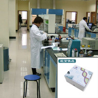 硝化DNA/RNA的伤害试剂盒（种属多样） 科研实验使用