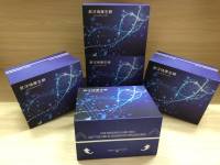 马β内啡肽(β-EP)ELISA试剂盒