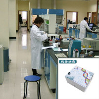 流行性乙型脑炎抗体IgG检测试剂盒（ELISA） 开学促销